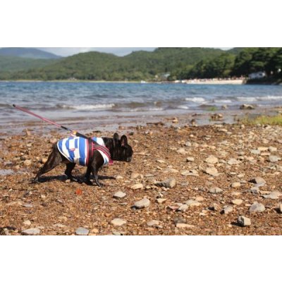 画像4: 太ボーダーポケットタンク（黒）