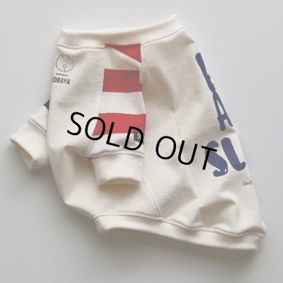 画像2: 食っちゃ寝太ボーダー